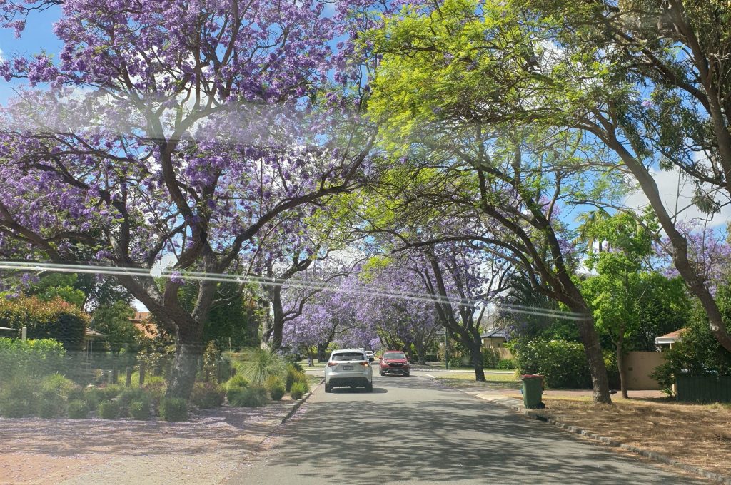 Melville Western Australia​ Applecross, Attadale, Bicton, Booragoon, Brentwood, Bull Creek, Kardinya, Leeming, Melville, Mount Pleasant, Murdoch, Myaree, P