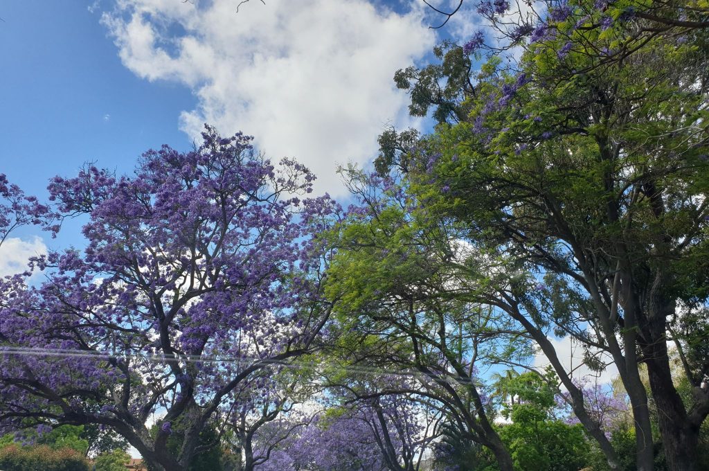 Weather & Climate of Melville Western Australia​ Applecross, Attadale, Bicton, Booragoon, Brentwood, Bull Creek, Kardinya, Leeming, Melville, Mount Pleasant, Murdoch, Myaree, P